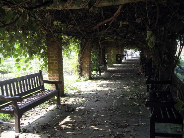A timber pergola in a park garden
