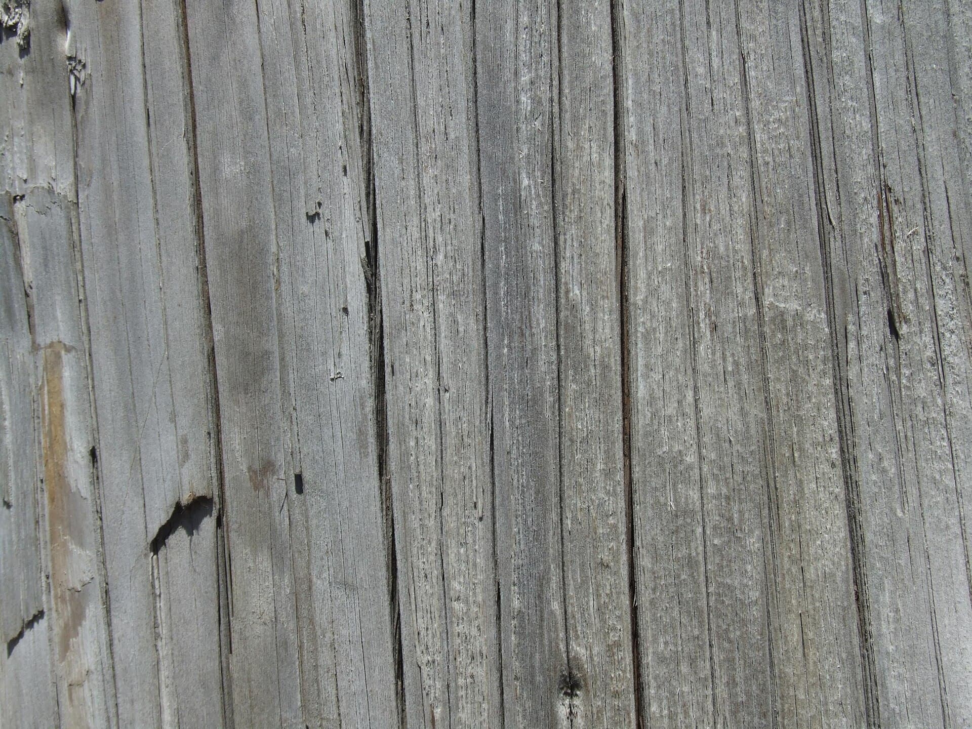 Close grain of outdoor hardwood boards